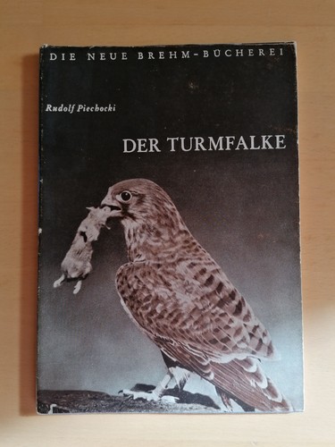 Der turmfalke die neue - turmfalke,
