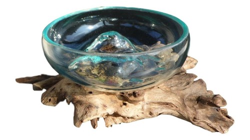 Wurzelholz glas schale big - glas,