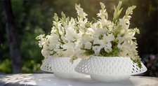 Blumentopf blumenschale - blumentopf,