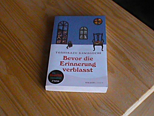 Bevor die erinnerung verblasst - bevor,