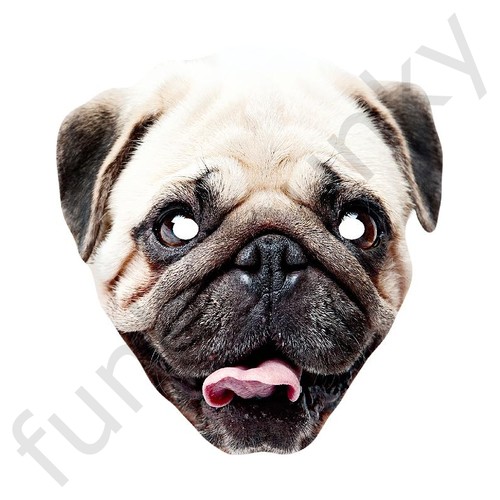 Mops hund tier - tier, karte