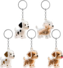 5 Stück Schlüsselanhänger