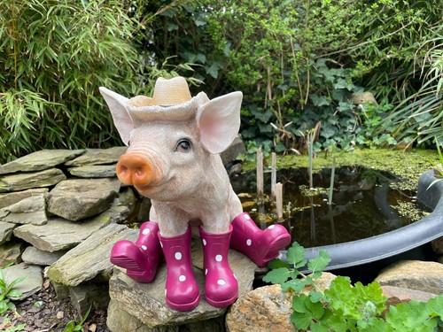 Deko schwein mit hut pinke - deko,