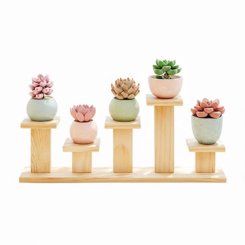 Bonsai ständer stufen - bonsai,