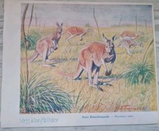 VOSS Margarine Kunstbilder Serie 3 | 17 Stück