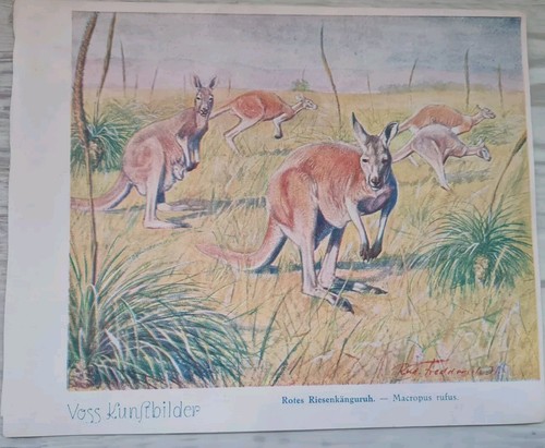 Voss margarine kunstbilder - voss,