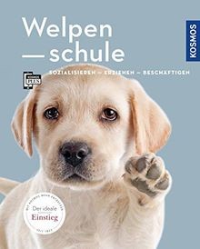 Welpenschule sozialisieren - welpenschule:,