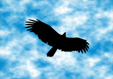 Vögel Aufkleber Wintergarten