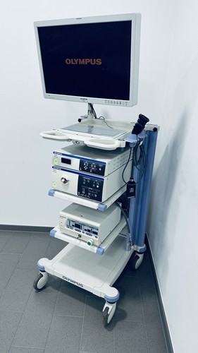 Olympus visera elite - olympus,