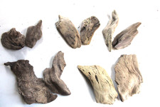 Schwemmholz Treibholz  10