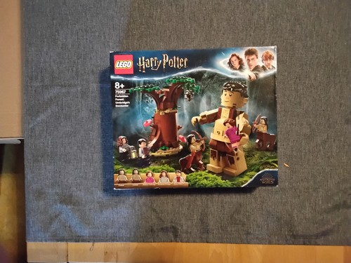 Lego harry potter 75967 - lego,