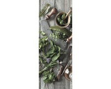 Glasbild Herbal Preparation