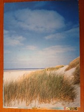 Postkarte 2528 nicht gelaufen, Nordseeinsel Baltrum, Ansichtskarte, Sammlung