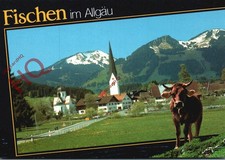 Picture Postcard:-Fischen Im