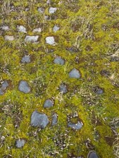 Alte granit kalk - granit, basalt