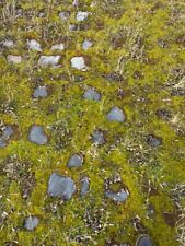 alte Granit - Kalk - Basalt - Pflastersteine 18 x 20 cm von altem Bahnhof 35€/qm