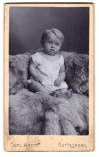 Fotografie Carl Krefft