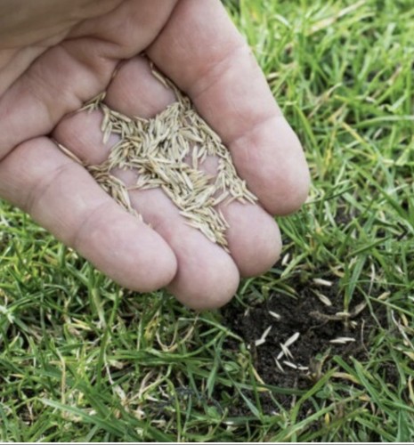 Kuders gartenparadies - kuders,