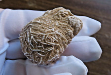 Mineral Wüstenrose Stein