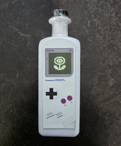 Quarantini gin boy - gin, social