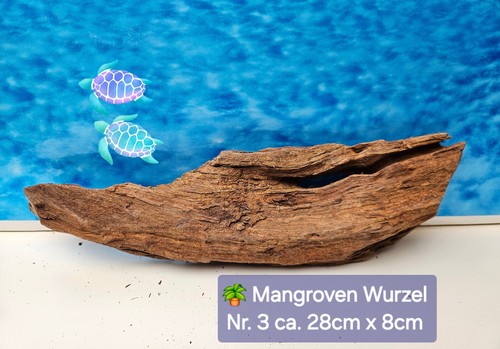 Mangroven aquarium - 🌴,
