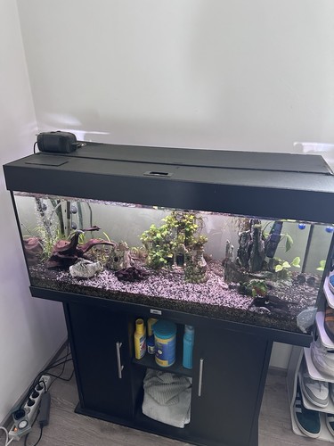 Juwel glas aquarium 180l - juwel, glas-aquarium