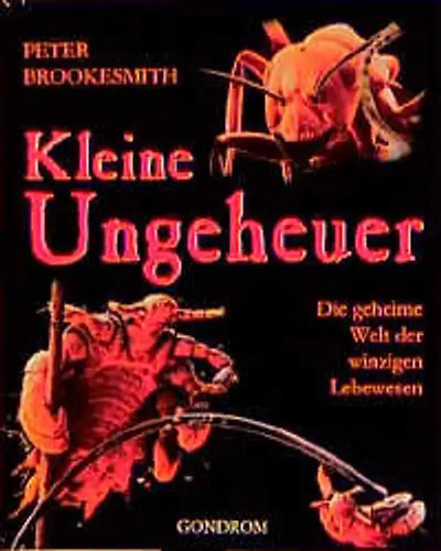 Kleine ungeheuer - kleine,