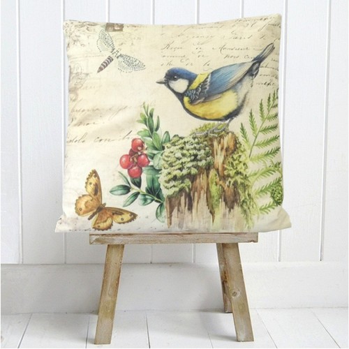 Blaumeise vogel vintage - blaumeise,
