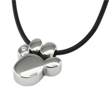 Pfote Kette Hund Katze Bär