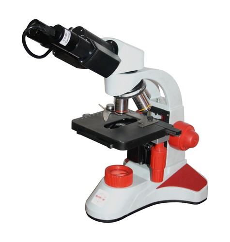 Radikales 2500x binokulares - radikales,