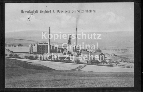 Vogelbeck salzderhelden - vogelbeck,