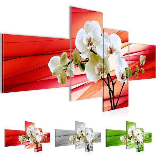 Wandbilder blumen orchidee - blumen,