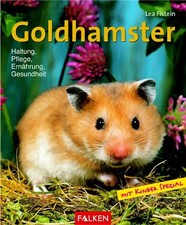 Goldhamster