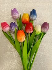 9 Holland Holztulpen Tulpen