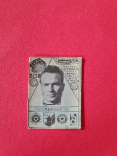 Antun herceg - (fc, partizan)