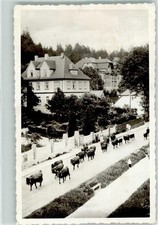 39333365 - 3706 Schierke