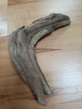 Bumerang  Dekorativ extravagant Schwemmholz Treibholz  sehr kurios 20x6 x4 cm