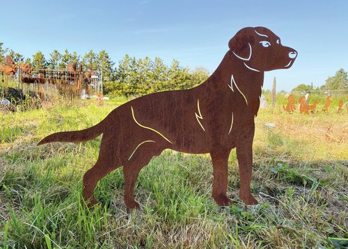 Hund labrador stehend - hund, 85x61cm