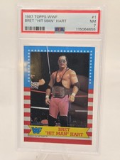 WWE WWF Bret Hitman Hart