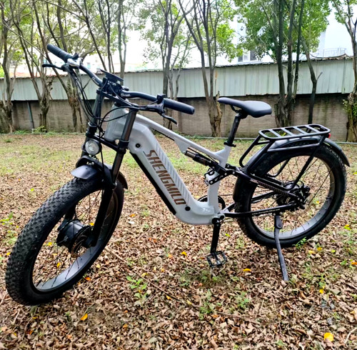 Dual motor offroad - motor,