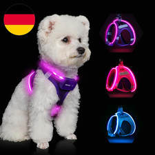 Leuchtend hundegeschirr led - leuchtend,