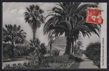 Lisboa, Jardim Botanico, Ansichtskarte 