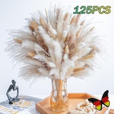 125x Pampasgras Bündel Blumen