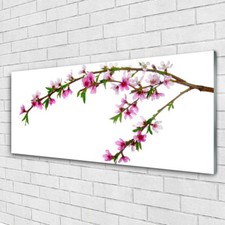 Acrylglasbilder Wandbilder