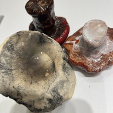 3 verschiedene  Pilze, Pilz