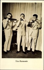 Ak Trio Harmonie, Musiker