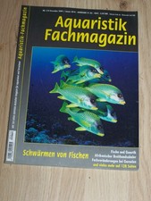 Aquaristik Fachmagazin - Schwärmen von Fischen - Süßwasser - Aquarium