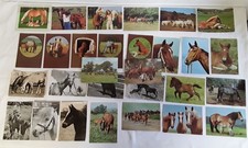 29 Pferde Postkarten AK