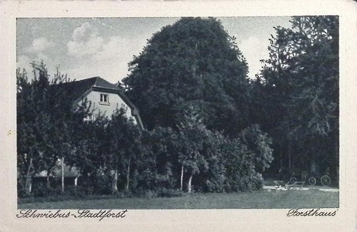 19472 schwiebus - ,