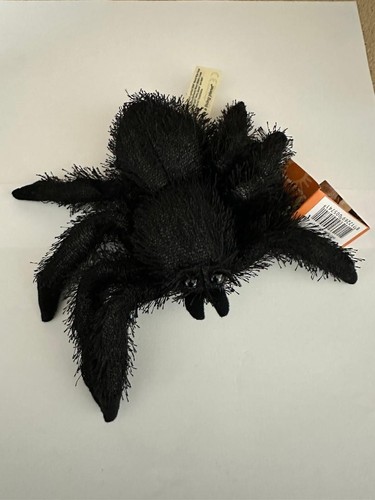 Wwf spinne schwarz - spinne, tarantel